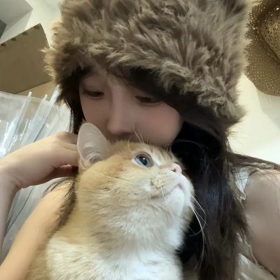 租赁猫