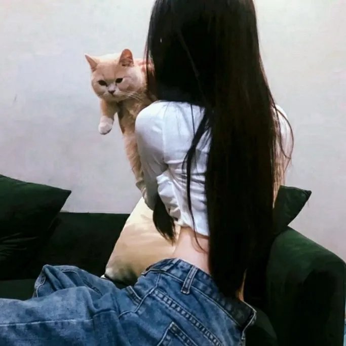 极限炫风